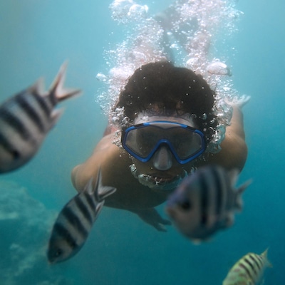 A person with short dark hair swims underwater, wearing a scuba mask while facing several black-and-white-striped fish.